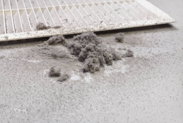 Best HVAC System Cleaning  in Boaz, WV