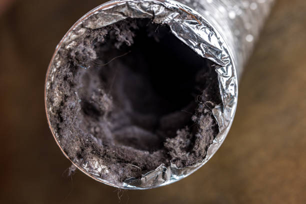 Best HVAC Air Duct Cleaning  in Boaz, WV