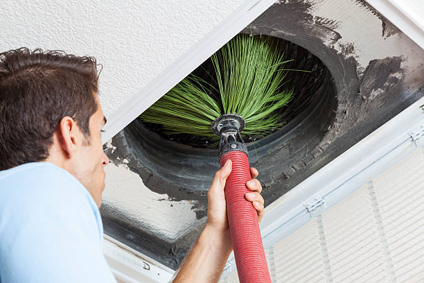 Best Affordable Air Duct Cleaning  in Boaz, WV